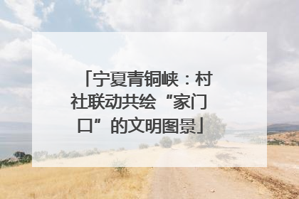 宁夏青铜峡：村社联动共绘“家门口”的文明图景