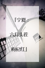 宁夏：六月头茬枸杞红