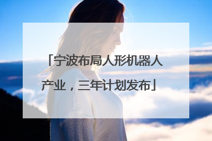 宁波布局人形机器人产业，三年计划发布