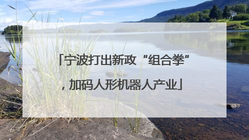 宁波打出新政“组合拳”，加码人形机器人产业