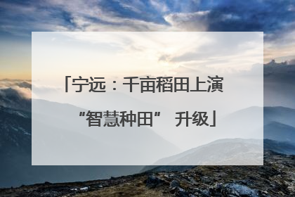 宁远：千亩稻田上演 “智慧种田” 升级