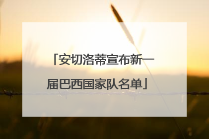 安切洛蒂宣布新一届巴西国家队名单