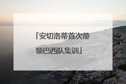 安切洛蒂首次带领巴西队集训