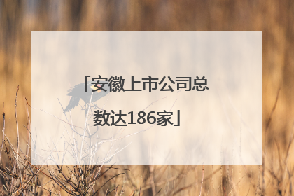 安徽上市公司总数达186家