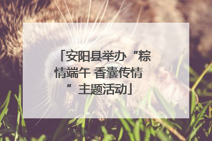 安阳县举办“粽情端午 香囊传情”主题活动