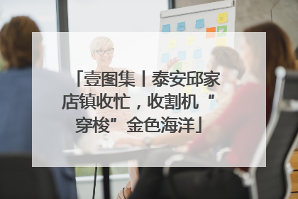 壹图集丨泰安邱家店镇收忙，收割机“穿梭”金色海洋
