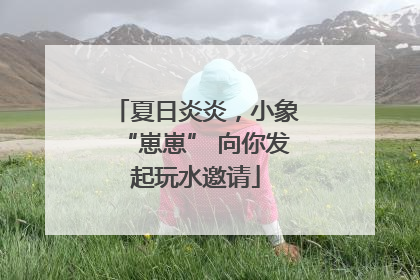 夏日炎炎，小象“崽崽” 向你发起玩水邀请