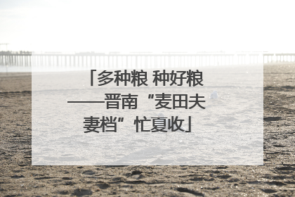 多种粮 种好粮——晋南“麦田夫妻档”忙夏收