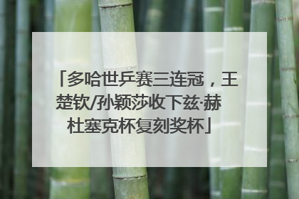 多哈世乒赛三连冠，王楚钦/孙颖莎收下兹·赫杜塞克杯复刻奖杯