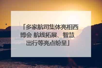 多家航司集体亮相西博会 航线拓展、智慧出行等亮点纷呈