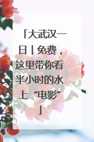 大武汉一日︱免费，这里带你看半小时的水上“电影”