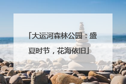 大运河森林公园：盛夏时节，花海依旧