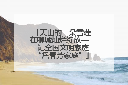 天山的一朵雪莲在聊城灿烂绽放——记全国文明家庭“詹春芳家庭”
