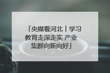 央媒看河北丨学习教育走深走实 产业集群向新向好