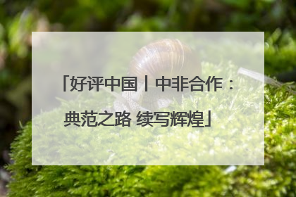 好评中国丨中非合作：典范之路 续写辉煌
