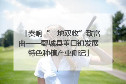 奏响“一地双收”致富曲——鄄城县董口镇发展特色种植产业侧记