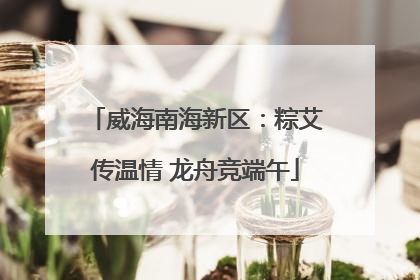 威海南海新区:粽艾传温情 龙舟竞端午