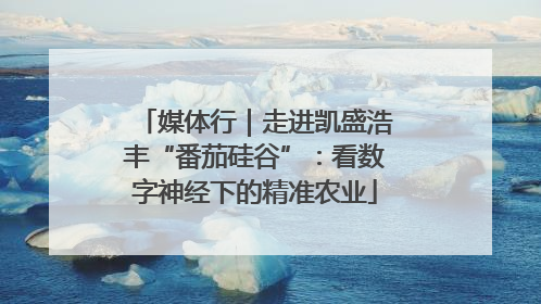媒体行｜走进凯盛浩丰“番茄硅谷”：看数字神经下的精准农业