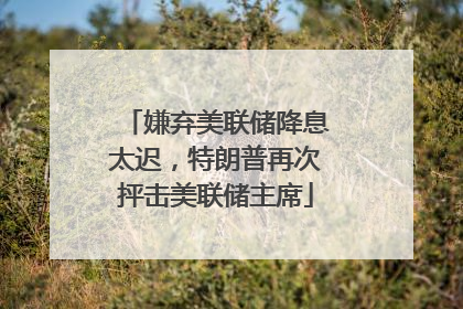 嫌弃美联储降息太迟，特朗普再次抨击美联储主席
