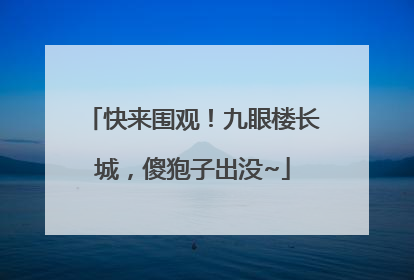 快来围观！九眼楼长城，傻狍子出没~