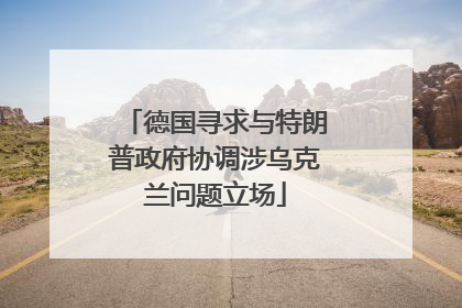 德国寻求与特朗普政府协调涉乌克兰问题立场