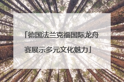 德国法兰克福国际龙舟赛展示多元文化魅力