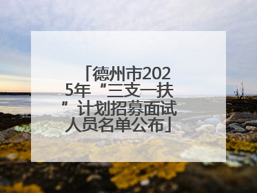 德州市2025年“三支一扶”计划招募面试人员名单公布