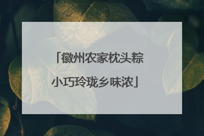 徽州农家枕头粽 小巧玲珑乡味浓