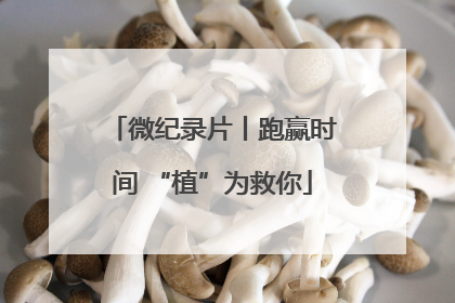微纪录片丨跑赢时间 “植”为救你