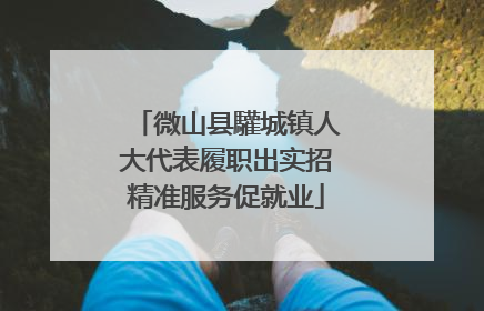 微山县驩城镇人大代表履职出实招精准服务促就业