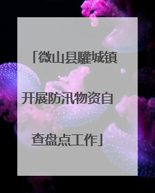 微山县驩城镇开展防汛物资自查盘点工作