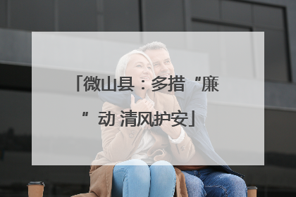 微山县：多措“廉”动 清风护安