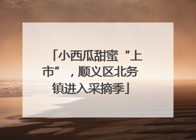 小西瓜甜蜜“上市”，顺义区北务镇进入采摘季