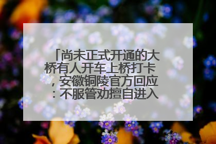 尚未正式开通的大桥有人开车上桥打卡，安徽铜陵官方回应：不服管劝擅自进入，已采取措施