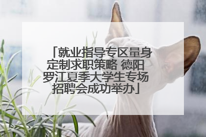 就业指导专区量身定制求职策略 德阳罗江夏季大学生专场招聘会成功举办
