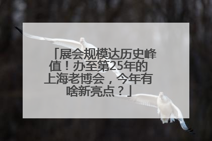 展会规模达历史峰值！办至第25年的上海老博会，今年有啥新亮点？