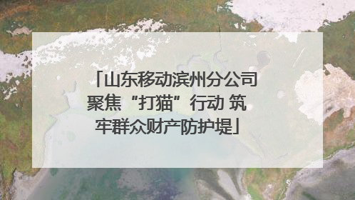 山东移动滨州分公司聚焦“打猫”行动 筑牢群众财产防护堤