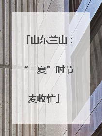 山东兰山：“三夏”时节麦收忙