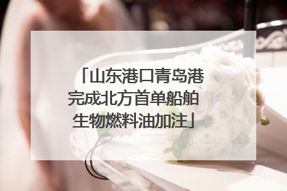 山东港口青岛港完成北方首单船舶生物燃料油加注