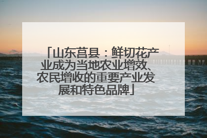 山东莒县：鲜切花产业成为当地农业增效、农民增收的重要产业发展和特色品牌