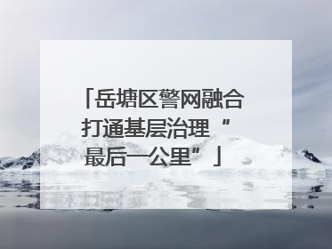 岳塘区警网融合 打通基层治理“最后一公里”