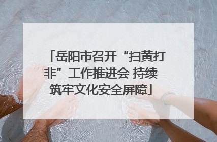 岳阳市召开“扫黄打非”工作推进会 持续筑牢文化安全屏障
