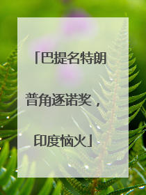 巴提名特朗普角逐诺奖，印度恼火