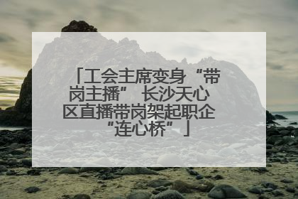 工会主席变身“带岗主播” 长沙天心区直播带岗架起职企“连心桥”