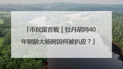 市民留言板｜牡丹胡同40年树龄大杨树因何被扒皮？