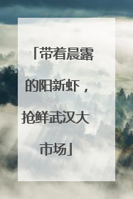 带着晨露的阳新虾，抢鲜武汉大市场