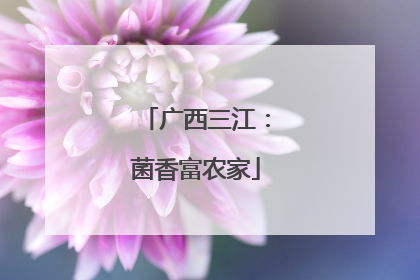 广西三江：菌香富农家