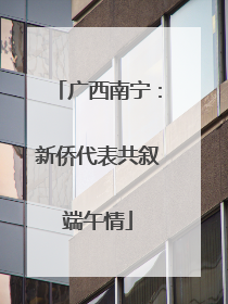 广西南宁：新侨代表共叙端午情