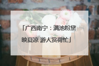 广西南宁：满池粉黛映夏凉 游人赏荷忙