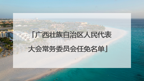 广西壮族自治区人民代表大会常务委员会任免名单